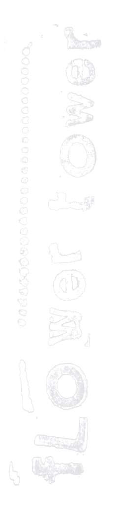 Flower Tower Logo